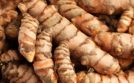 6 popular Herbal Supplements linked to potential Liver Risks