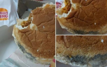 Man slams Burger King, Zomato over mouldy bun breads: ‘Didn’t know about New Flavour'